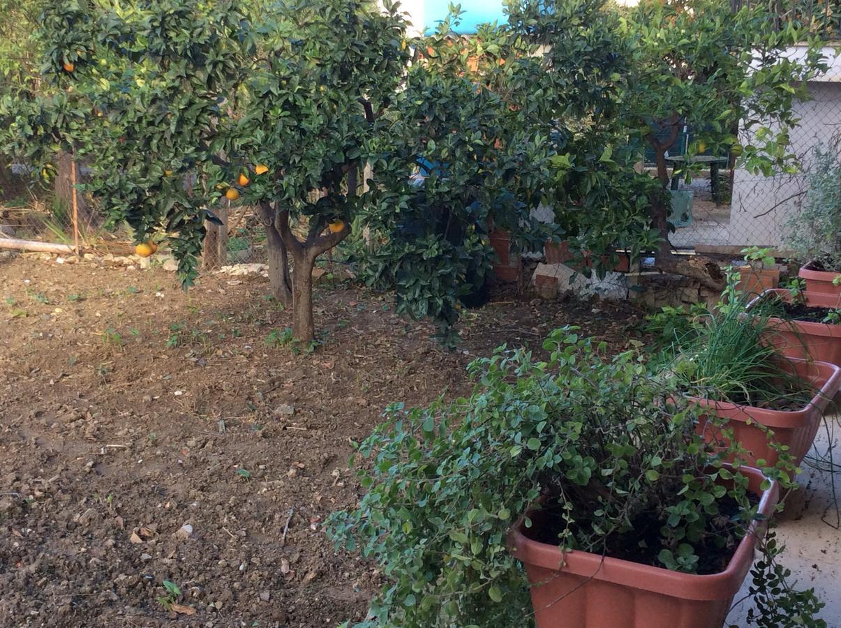 Bed and Breakfast Ifioridisicilia Campofelice Di Roccella Exterior foto